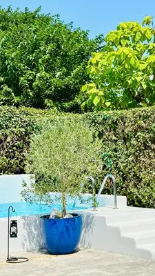 Piscina en o cerca de Villa Nature con Piscina Privada · Wifi ·AC · BBQ