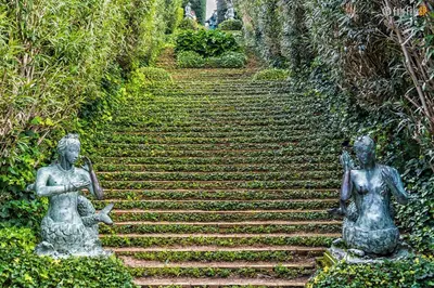 Jardín al aire libre en MAR DE VENT -Apartments
