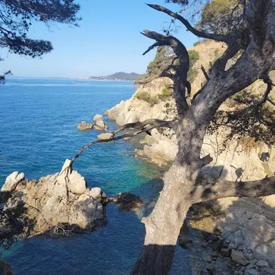 Paisaje cerca de este apartamento