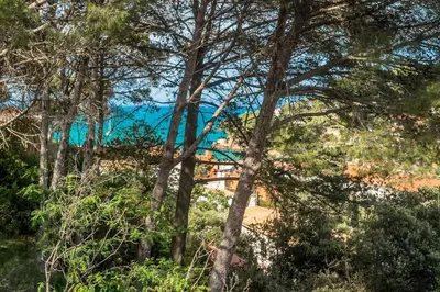 Paisaje cerca de este apartamento