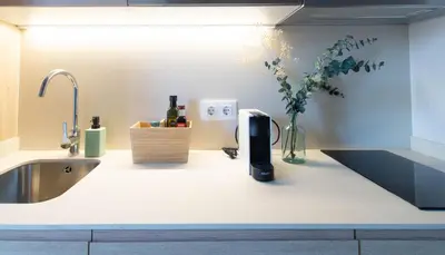 Una cocina o zona de cocina en Domina Boutique Apartment