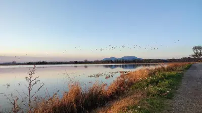 Paisaje cerca de este apartamento
