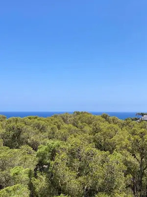 Paisaje cerca de este apartamento