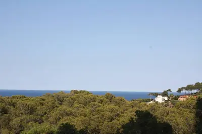 Paisaje cerca de este apartamento