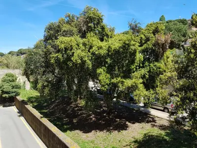 Paisaje cerca de este apartamento