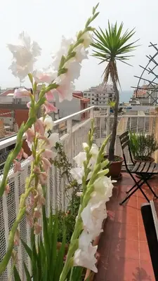 Un balcón o terraza de Apartamento Mediterraneo