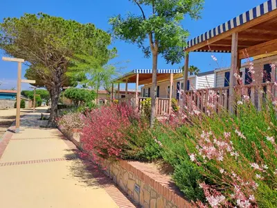 Jardín al aire libre en Albatross Mobile Homes on Camping El Pla de Mar