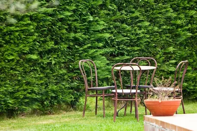Jardín al aire libre en Turisme Rural - Mas Vilà - Monells