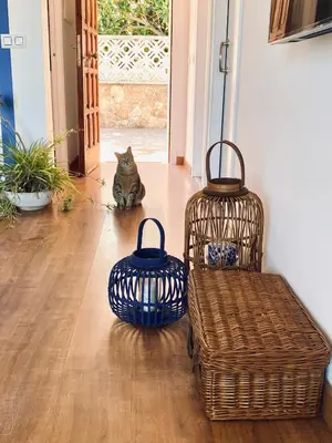 Plano de Sailor Apartment sea views