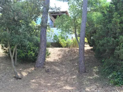 Jardín al aire libre en Casa minipa