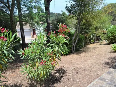 Jardín al aire libre en Casa minipa