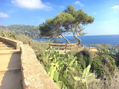 Paisaje cerca de este apartamento
