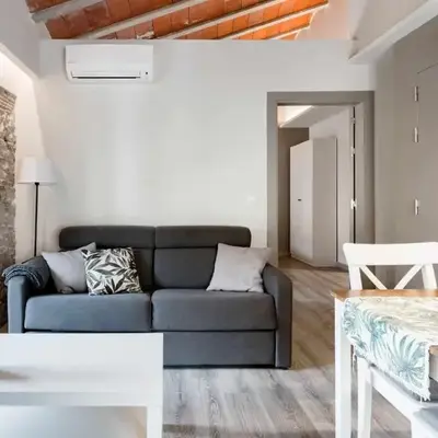 Revitalized Apartment in Historical Building