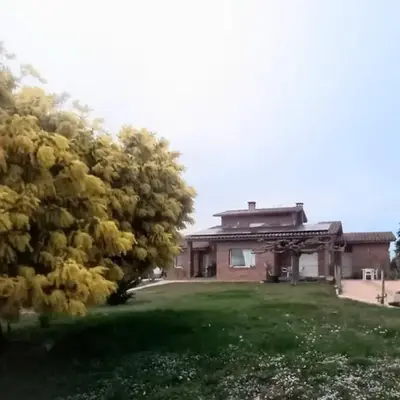 Can Carbó
