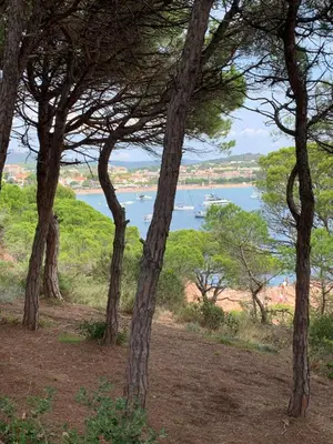Paisaje cerca de este apartamento