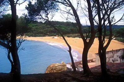 Paisaje cerca de este apartamento