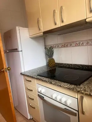 Una cocina o zona de cocina en APCOSTAS Villa de Madrid