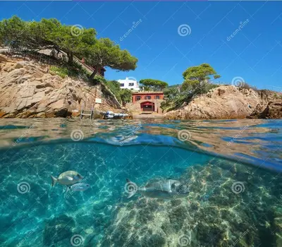 Paisaje cerca de este apartamento