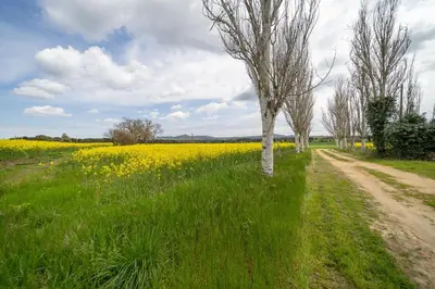 Paisaje cerca de esta villa