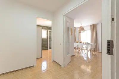 Plano de New BORODIN FAMILY AB
