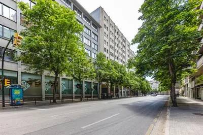 El barrio de los alrededores o un barrio cerca de este apartamento