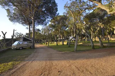 Paisaje cerca de este camping