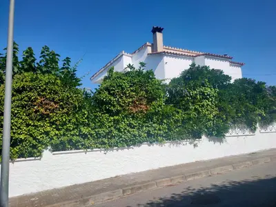 Plano de Maravillosa casa con piscina grande y bosque