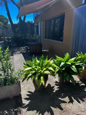 Jardín al aire libre en La casa Linda con terraza y vistas al mar