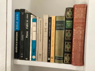 Biblioteca en el apartamento