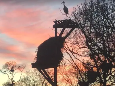 Amanecer o atardecer desde el apartamento o alrededores