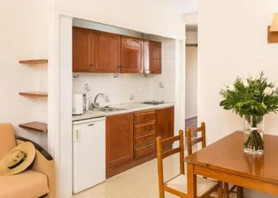 Una cocina o zona de cocina en Apartamentos Guitart