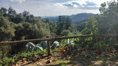 Paisaje cerca of this country house