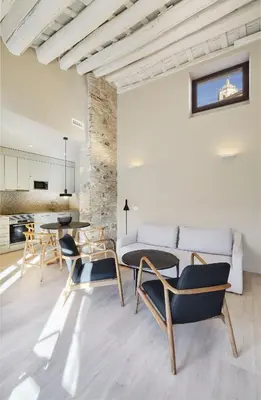 Una cocina o zona de cocina en Gaia Apartments & Lofts Girona