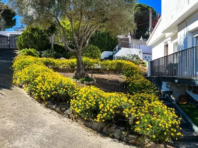 Jardín al aire libre en Vivalidays Casa Ricardo