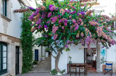 Jardín al aire libre en Flateli Sa Tuna 2