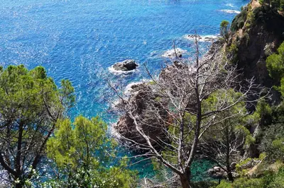 Paisaje cerca de este hotel