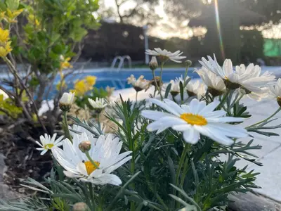 Jardín al aire libre en Villa Herlinda Costa Brava - With Swimming Pool