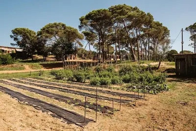 Jardín al aire libre en LOS TILOS Casa rural en el campo.