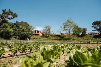 Paisaje cerca de esta casa o chalet