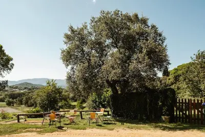 Paisaje cerca de esta casa o chalet
