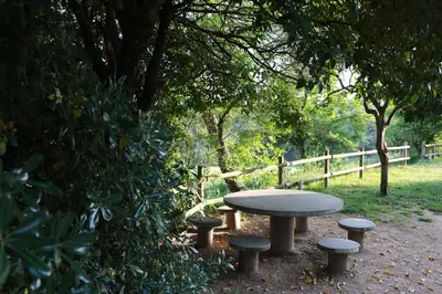 Jardín al aire libre en Masia Rural Cal Belles Mas