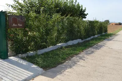 Jardín al aire libre en Mas Piua