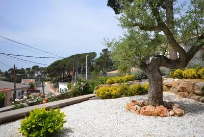 Jardín al aire libre en Club Villamar - Ruanda