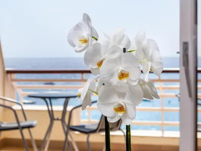 Un balcón o terraza de LETS HOLIDAYS APARTMENT SEA VIEWS on the BEACH