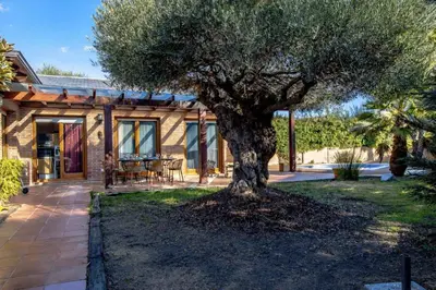 Jardín al aire libre en Catalunya Casas A Costa Brava gem - only a few minutes to the beach!