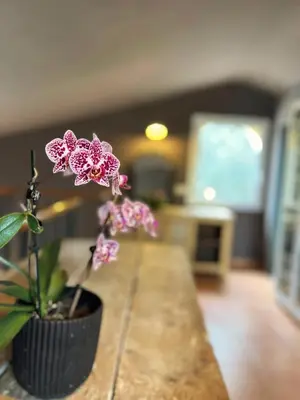 Plano de Costa Brava quiet Villa with private pool and jacuzzi