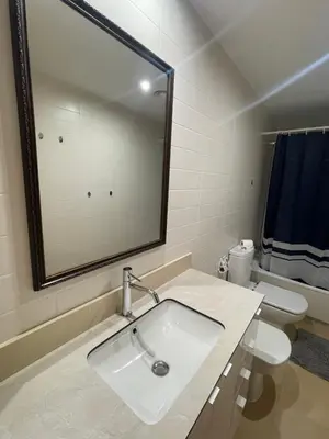 Un baño de Venecia