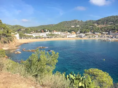 Paisaje cerca de este apartamento